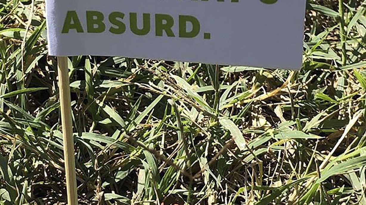 'Is this your turd?': Missouri city's cleanup flags dog poop