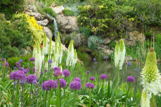 6 great downtown Salt Lake City activities for active seniors