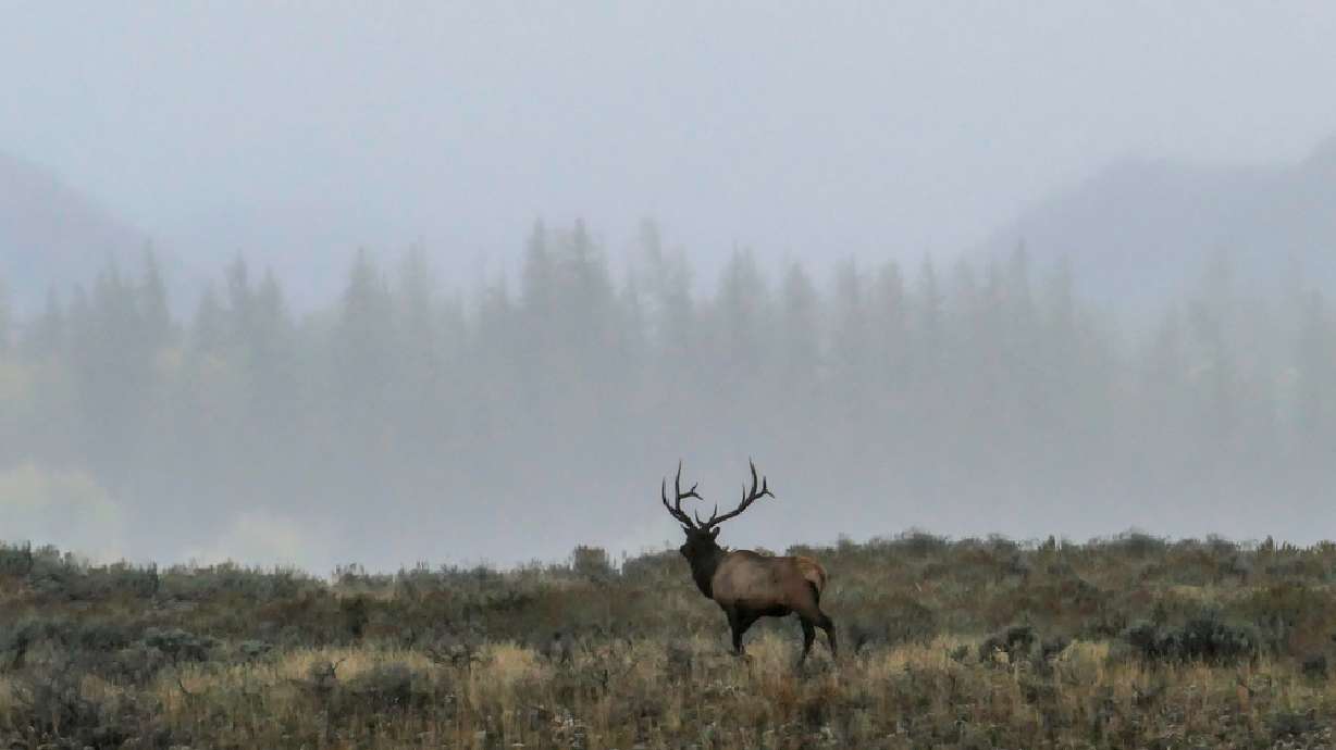 Nature fans rejoice! 11 nearby places to celebrate National Wildlife Refuge Week