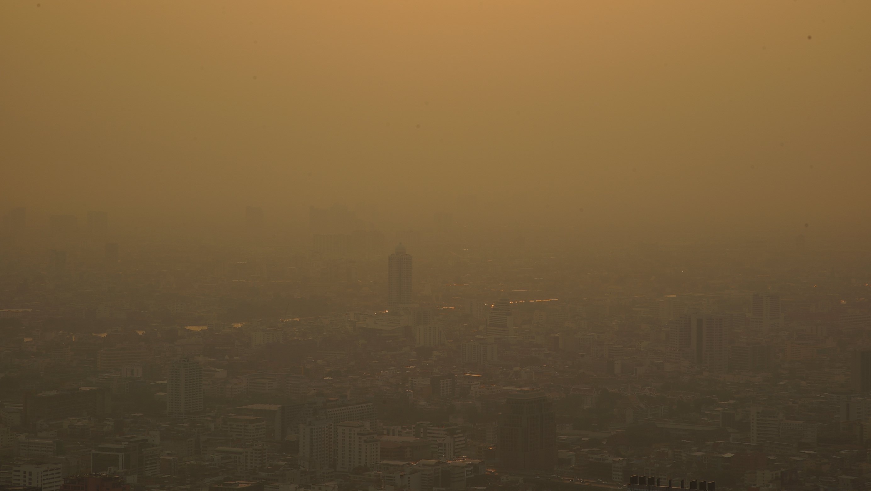 Exposure to pollution linked to 'silent miscarriages'