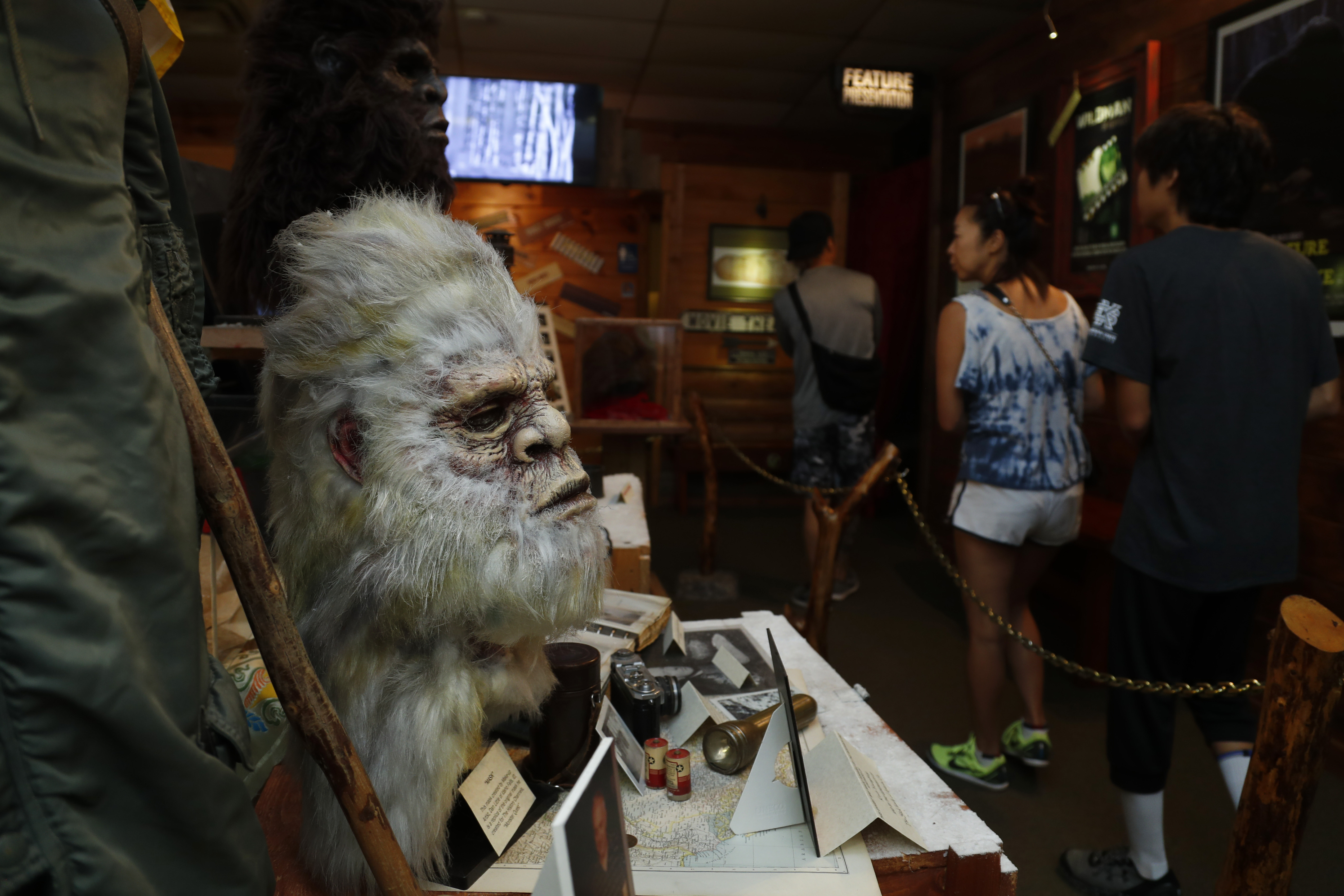 Roadside Bigfoot: Georgia museum devoted to legendary beast
