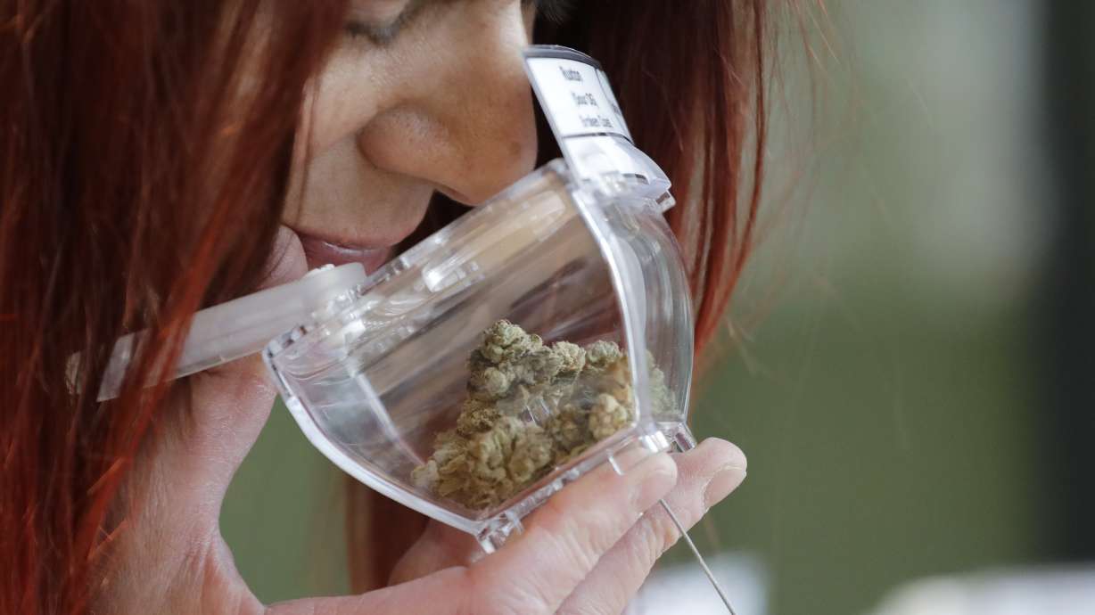 Frustration and pride in Canada after a year of legal pot