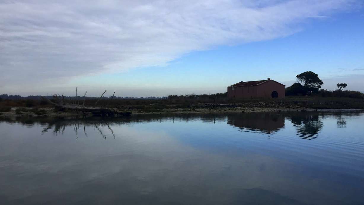 California tribe regains island it calls center of universe