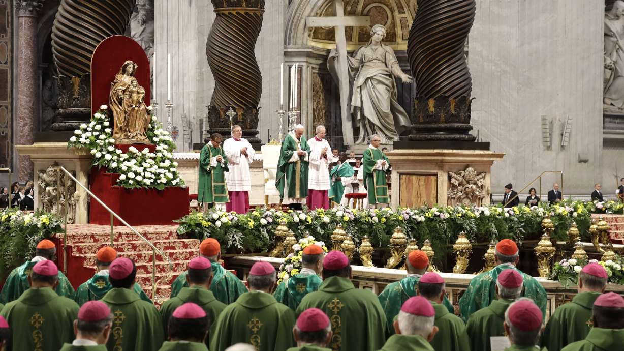 After their call for married priests, pope thanks bishops