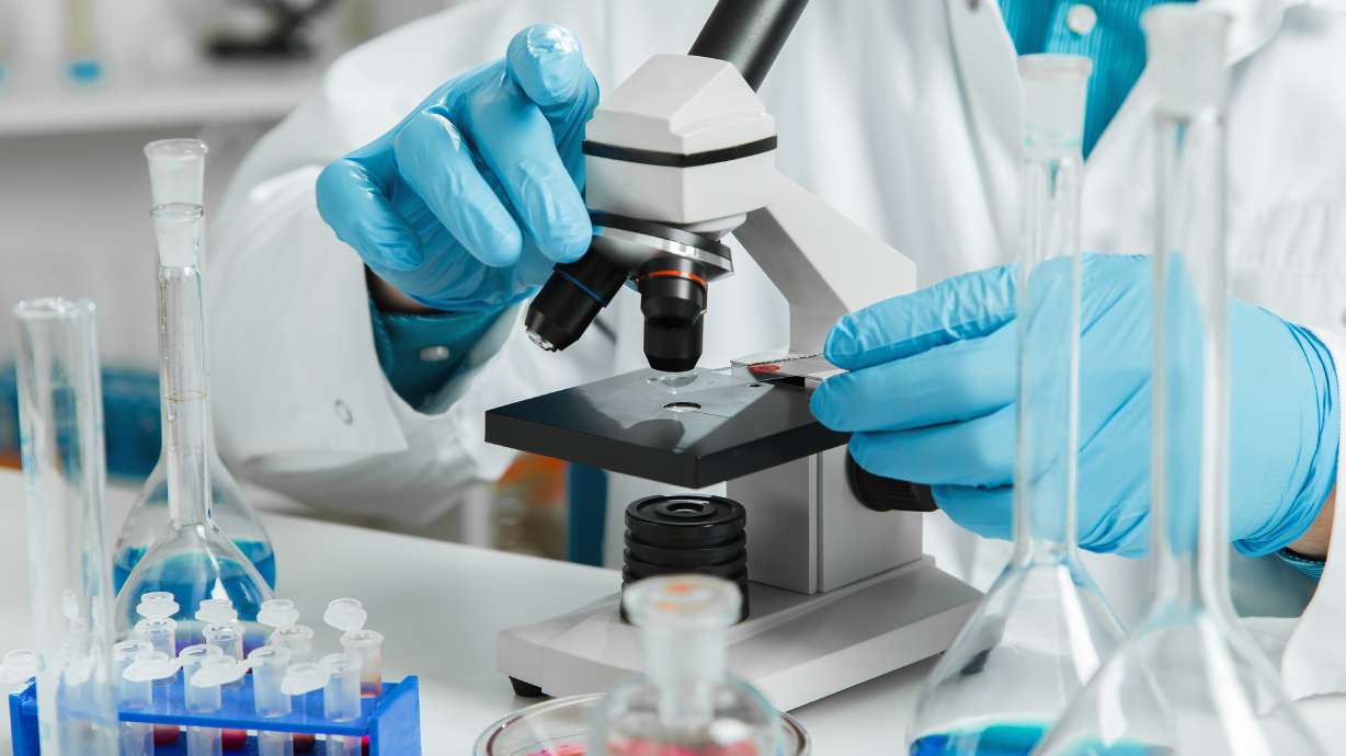 Utah researchers discover link between certain brain cells and anxiety, OCD