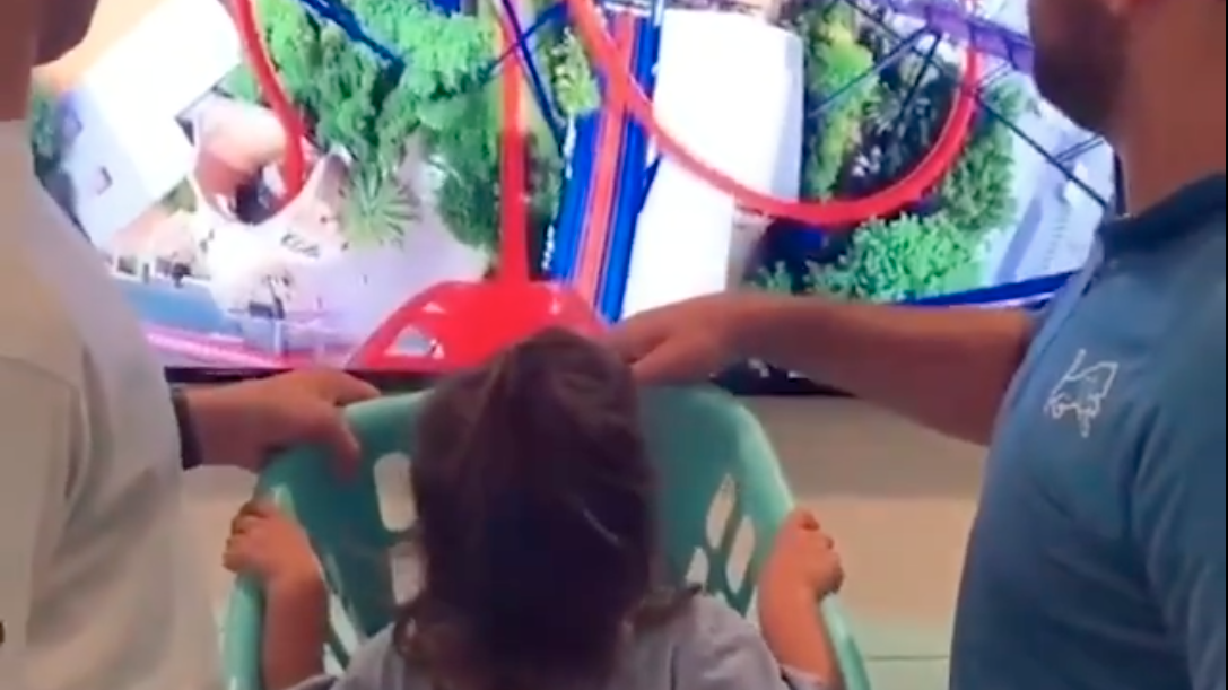 Have You Seen This? DIY Rollercoaster