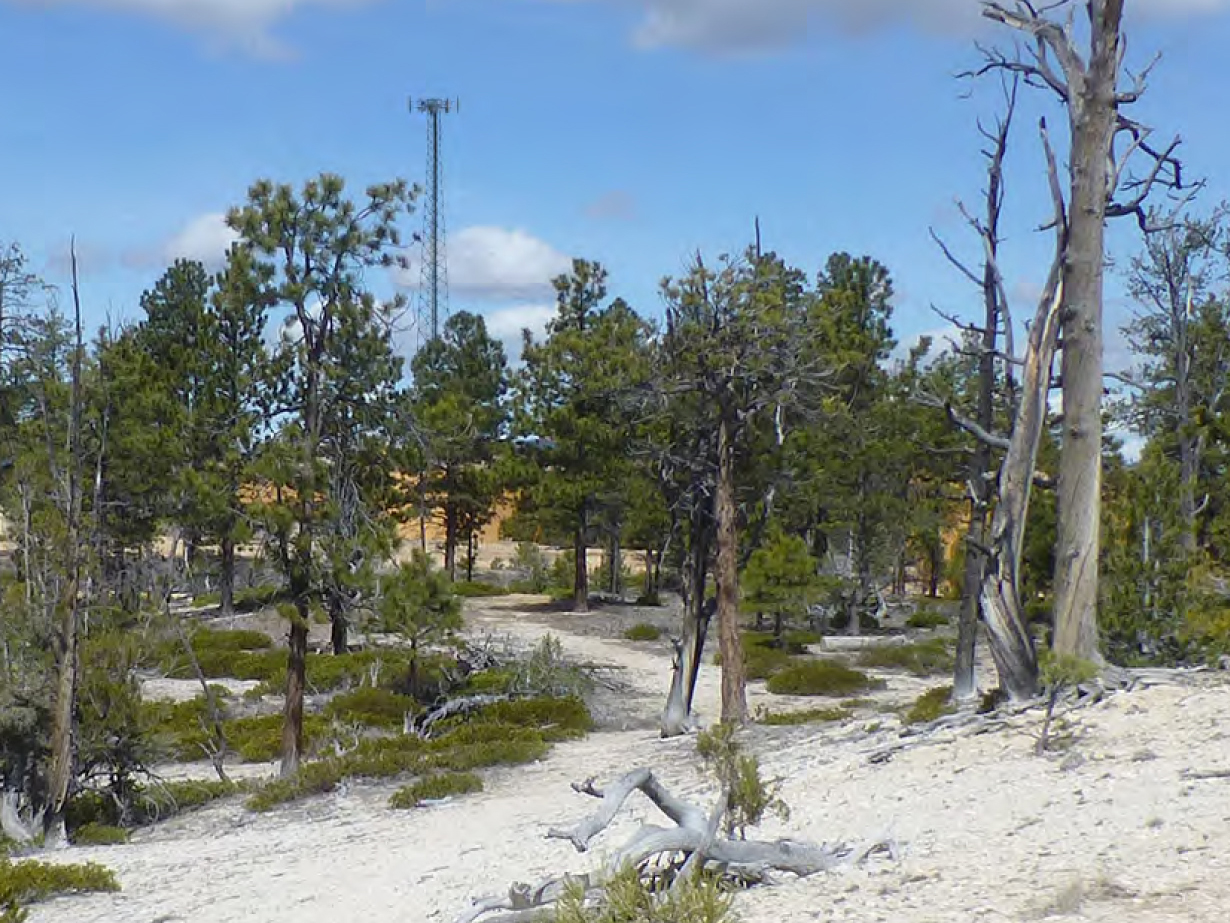 Bryce Canyon park officials want your input on proposed cell tower on park grounds