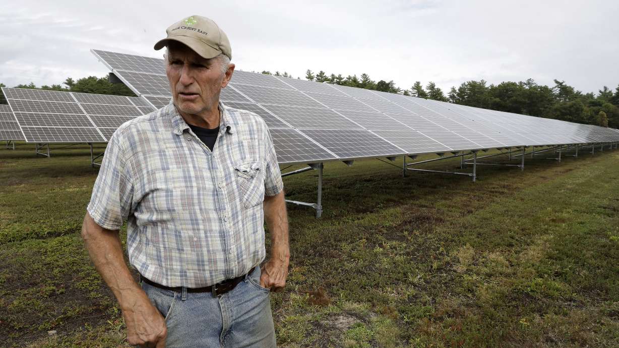Cranberry farmers want to build solar panels over their bogs