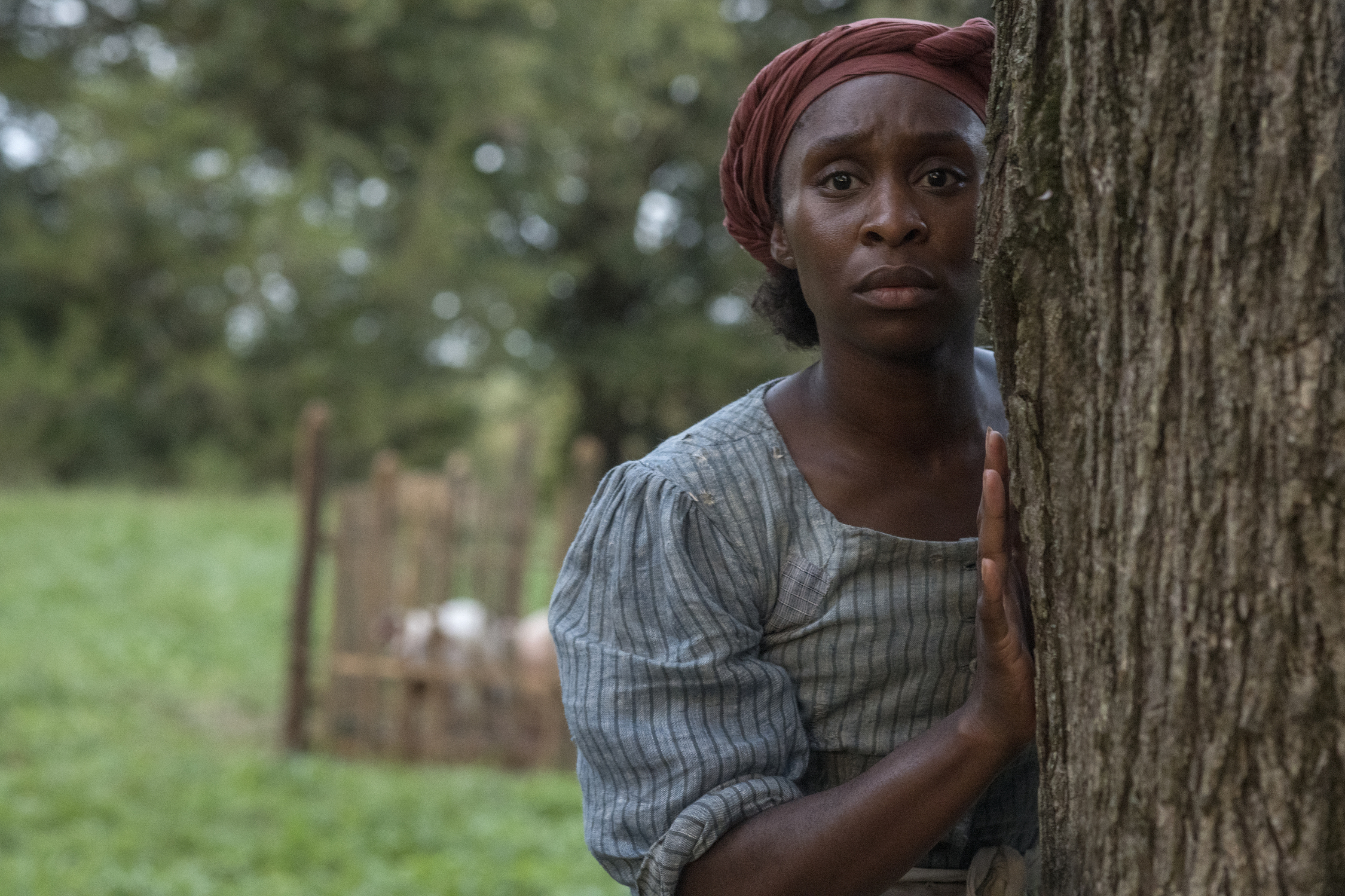 Review: Erivo engages in imperfect but important 'Harriet'