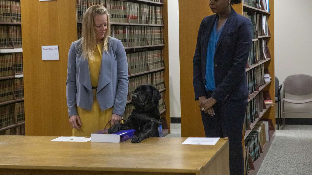 Labrador sworn in at state's attorney's office in Chicago