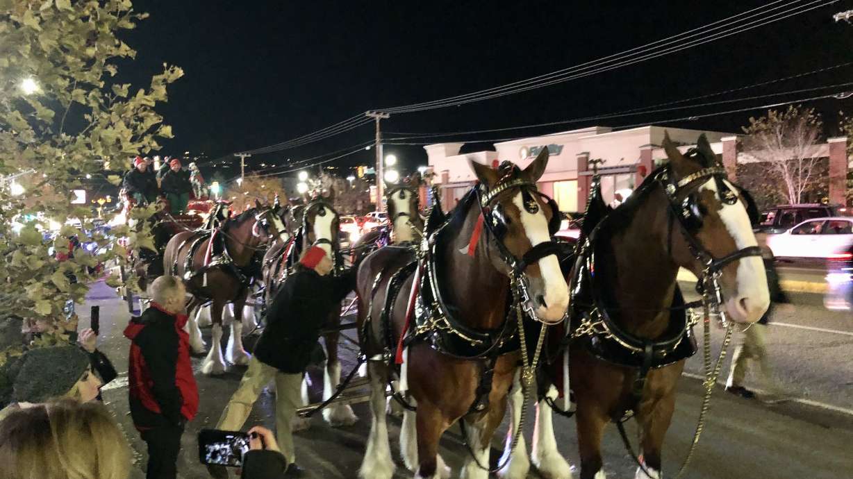 Budweiser Clydesdales in Utah to celebrate Halloween, end of 3.2 beer