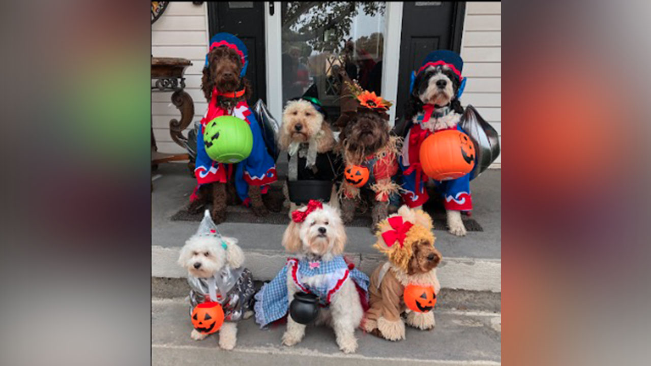 Meet the winner, honorable mentions of the KSL.com Halloween costume contest π