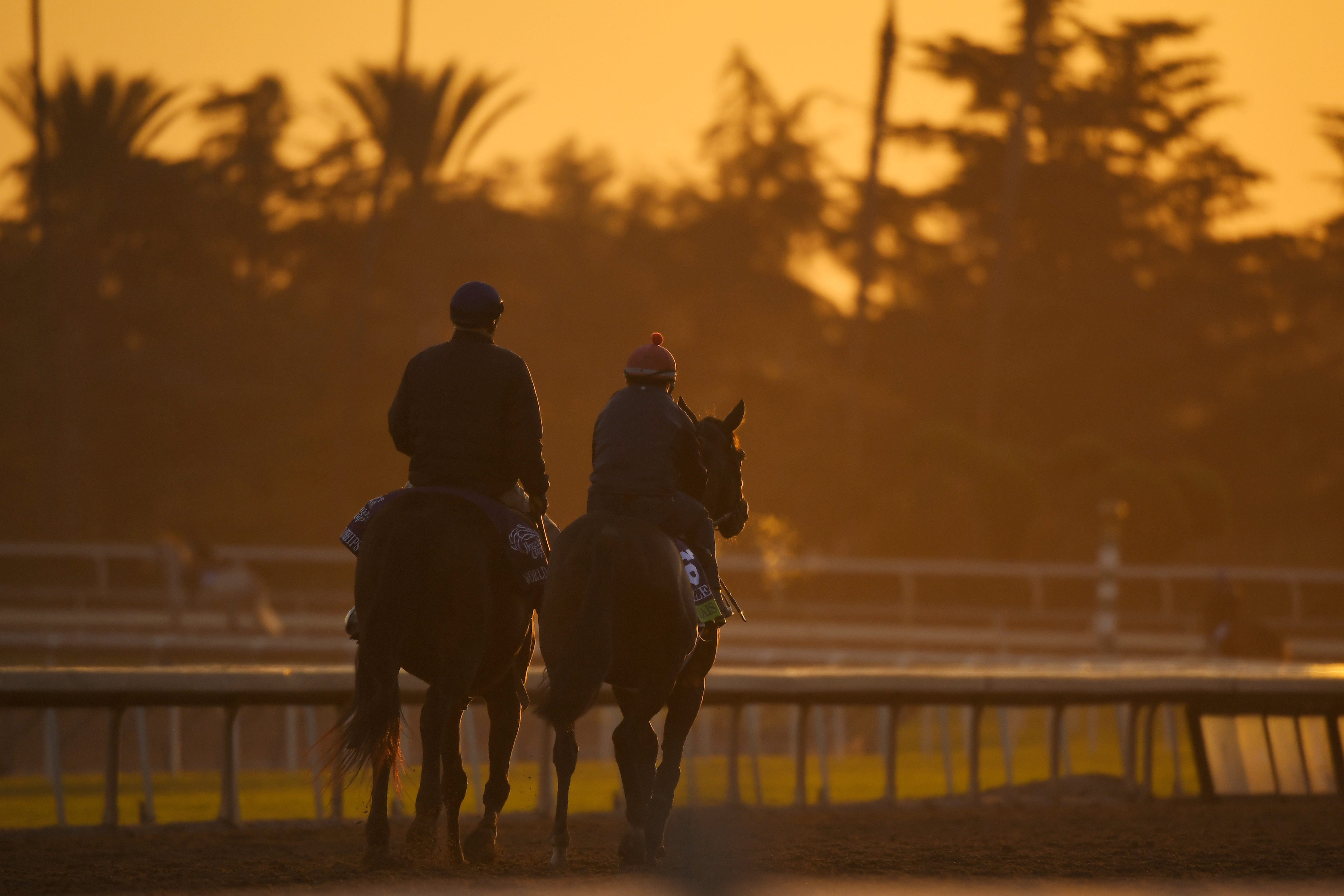 $2 million Juvenile tops opening day of Breeders' Cup