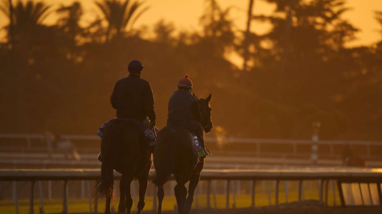 $2 million Juvenile tops opening day of Breeders' Cup