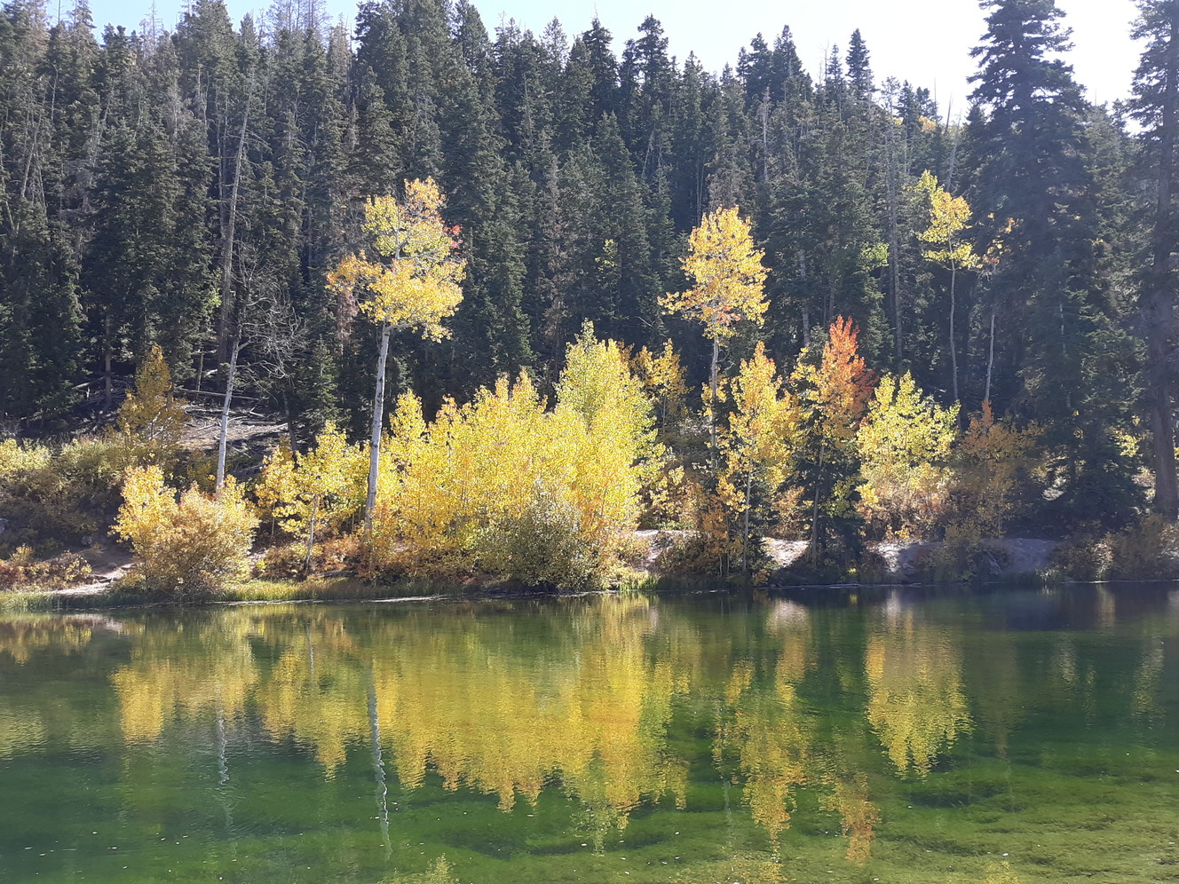 Fall colors at Lake Hill in Ephraim on Sunday, Oct. 6, 2019. (Photo: Jeff Wallace, iWitness)