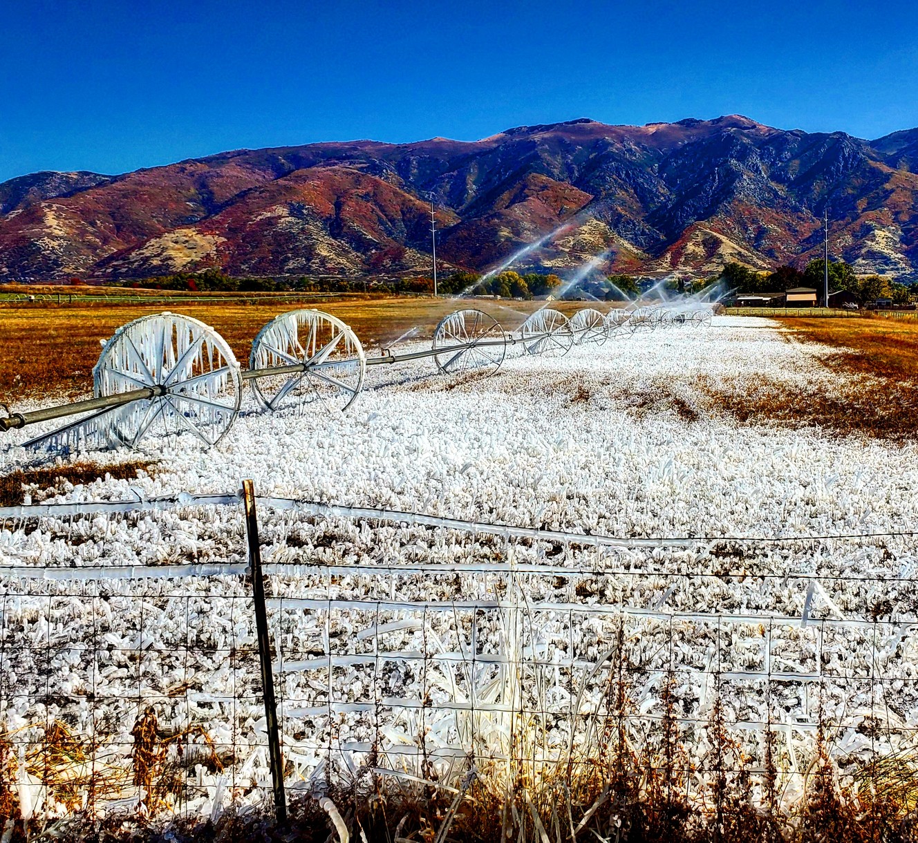 Sprinklers in a yellow field get frozen over in Layton as temperatures drop rapidly on Saturday, Oct. 12, 2019. (Photo: Preston Lee, iWitness)