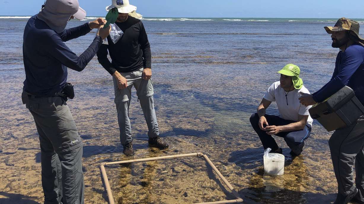 Brazil authorities zero in on ship suspected of oil spill