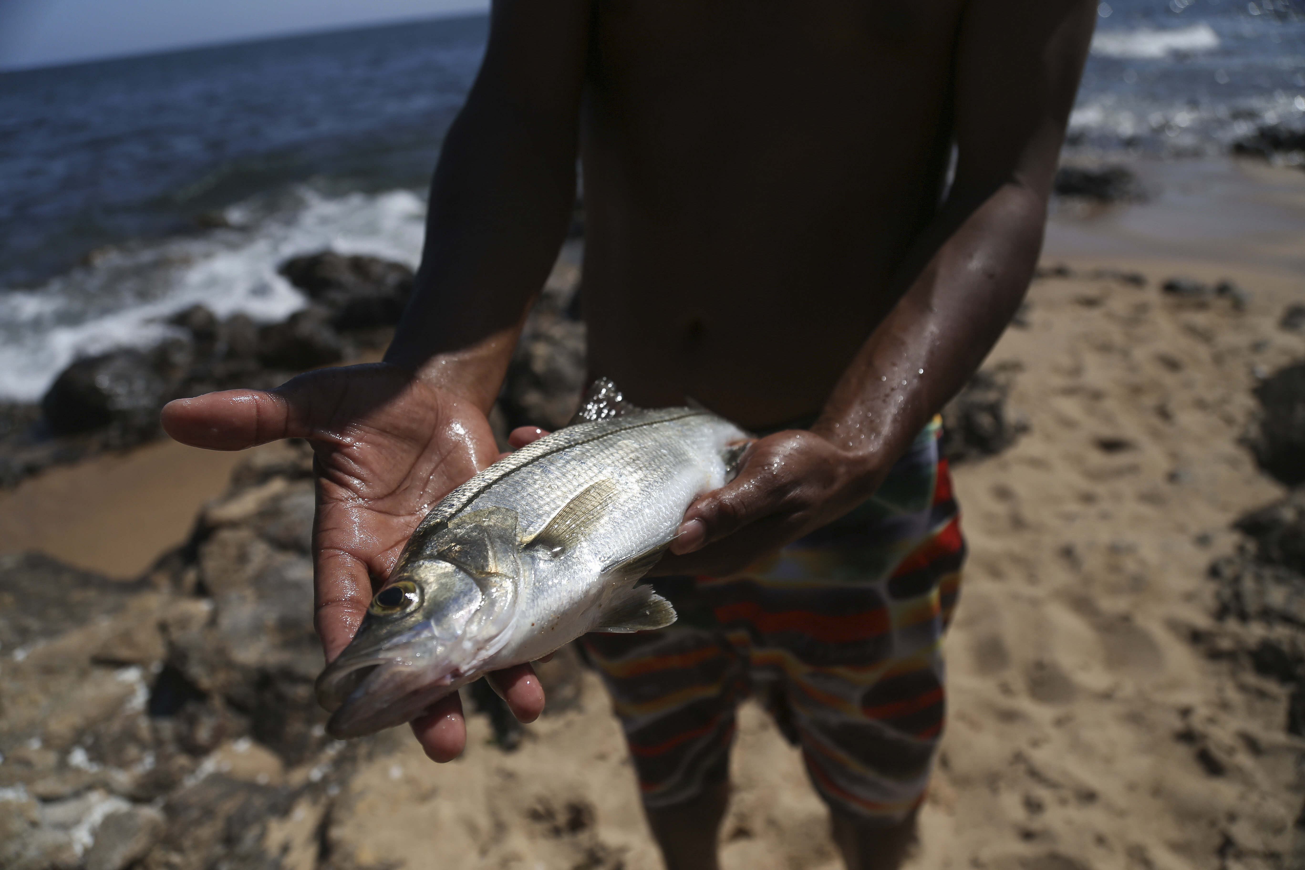 Brazil says oil traces from spill reached marine park