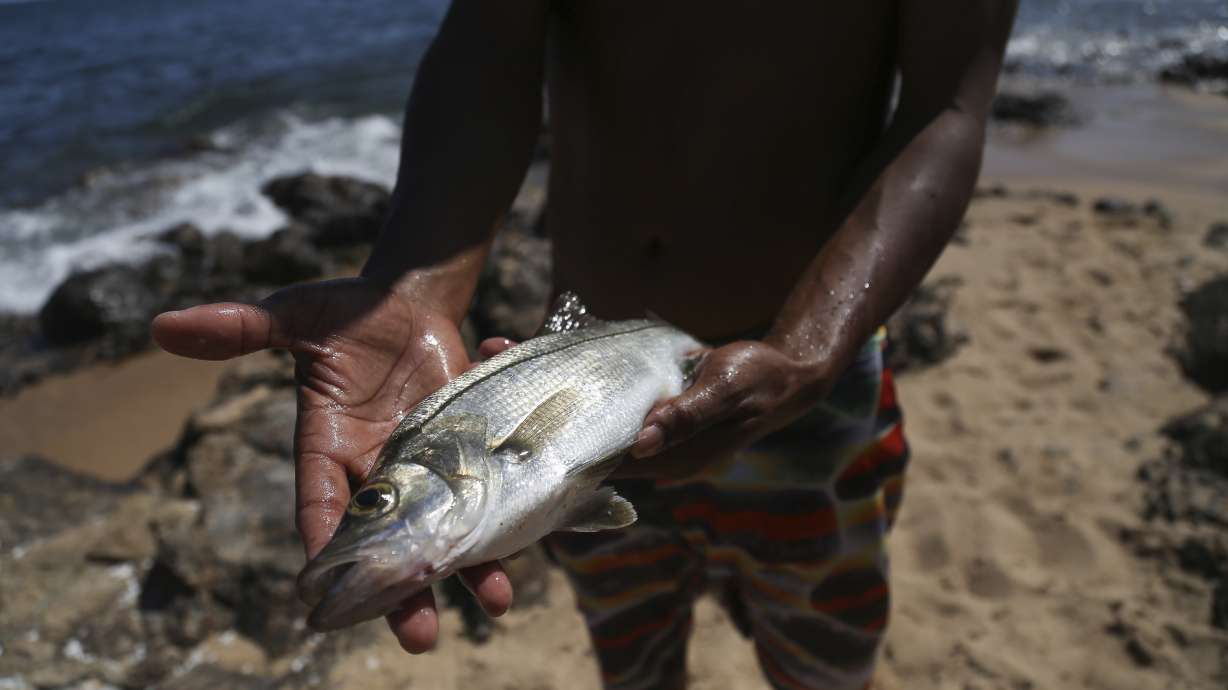 Brazil says oil traces from spill reached marine park