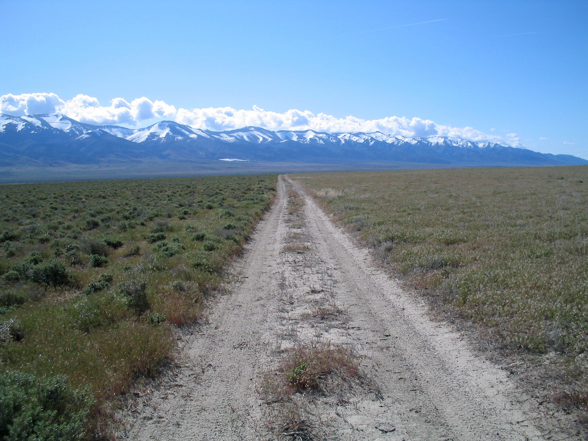 Study: Alien grasses are making more frequent US wildfires