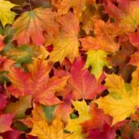 Events and festivals happening in Utah in November