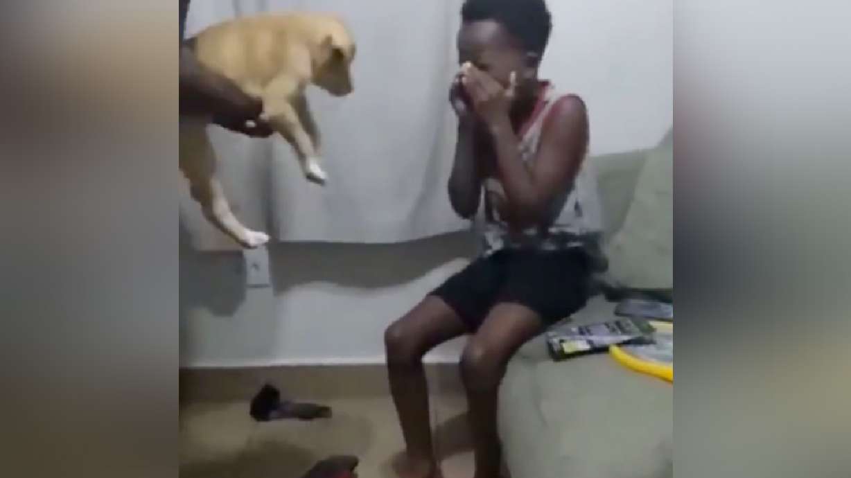 Have You Seen This? The moment a boy meets his dog