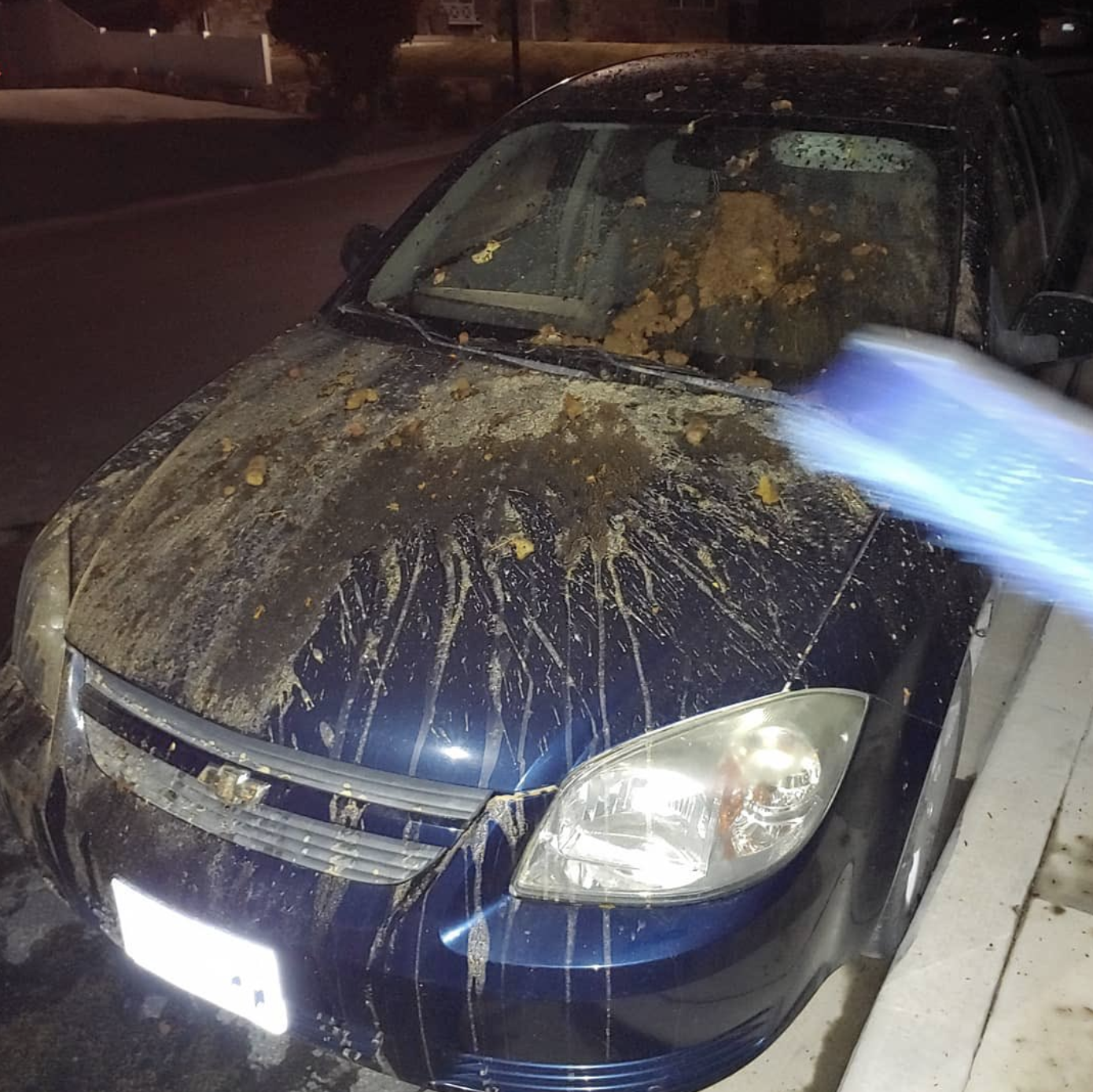 Pleasant Grove father says family targeted by vandalism