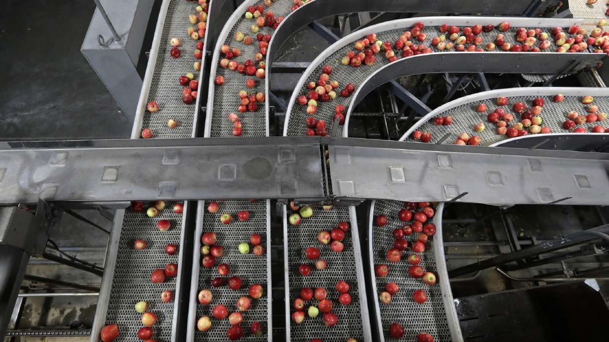 US producer prices up 0.4% in October