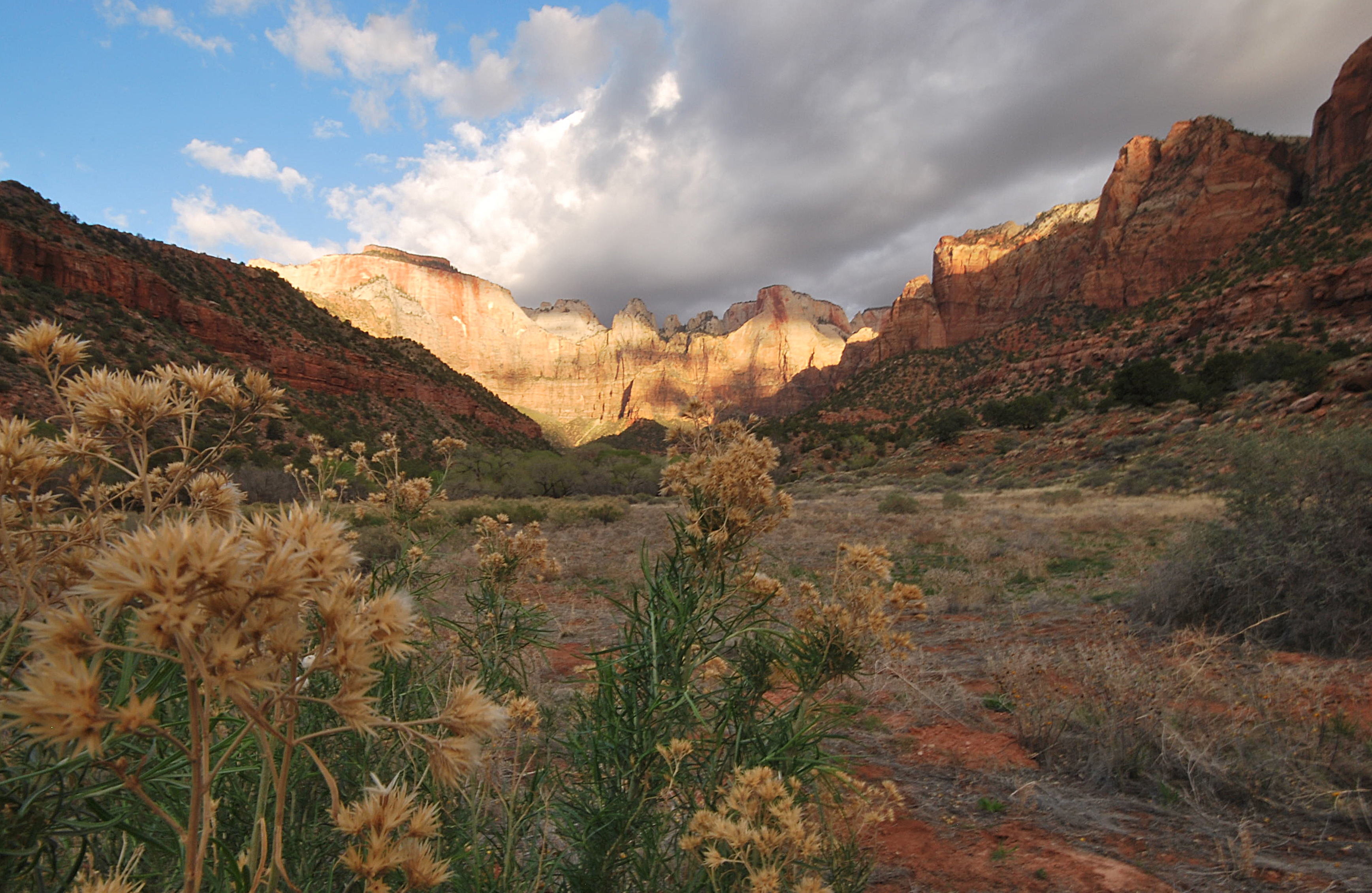 Zion National Park