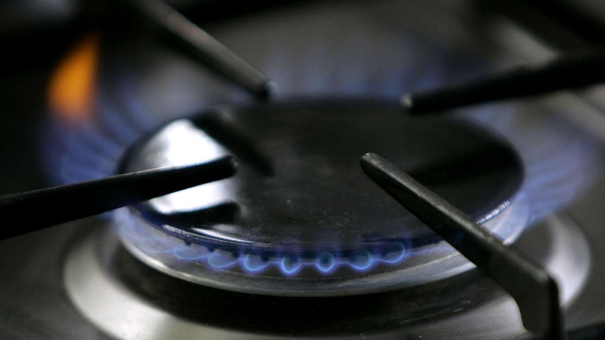 Restaurant group sues over Berkeley’s natural gas ban