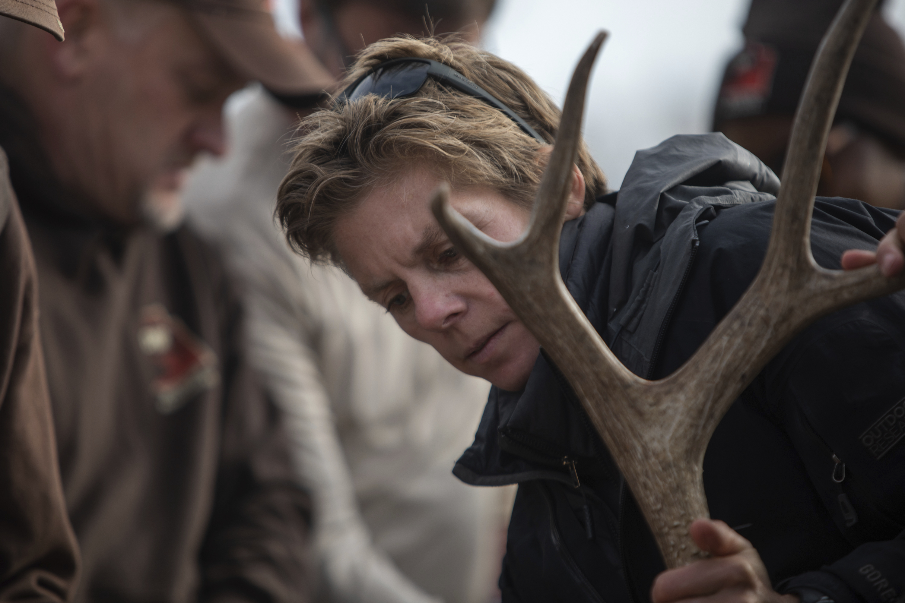 Wildlife biologists fly mule deer for herd-health project