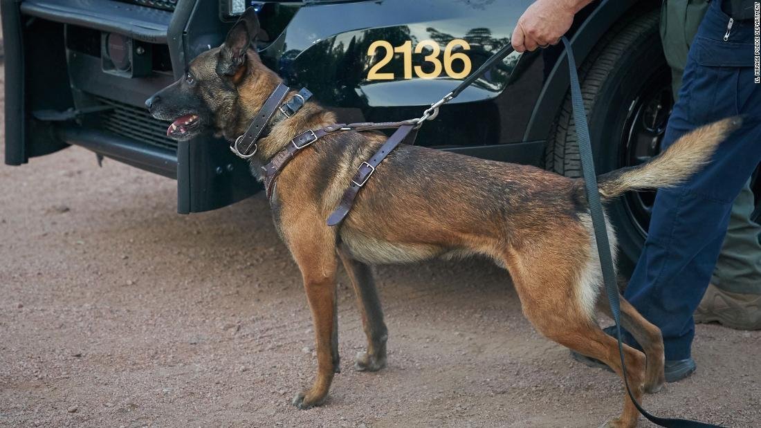 Arizona police dog was shot and killed by a fleeing suspect