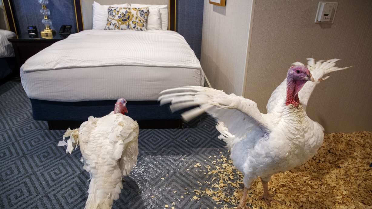 Trump tells impeachment jokes at annual turkey pardon event