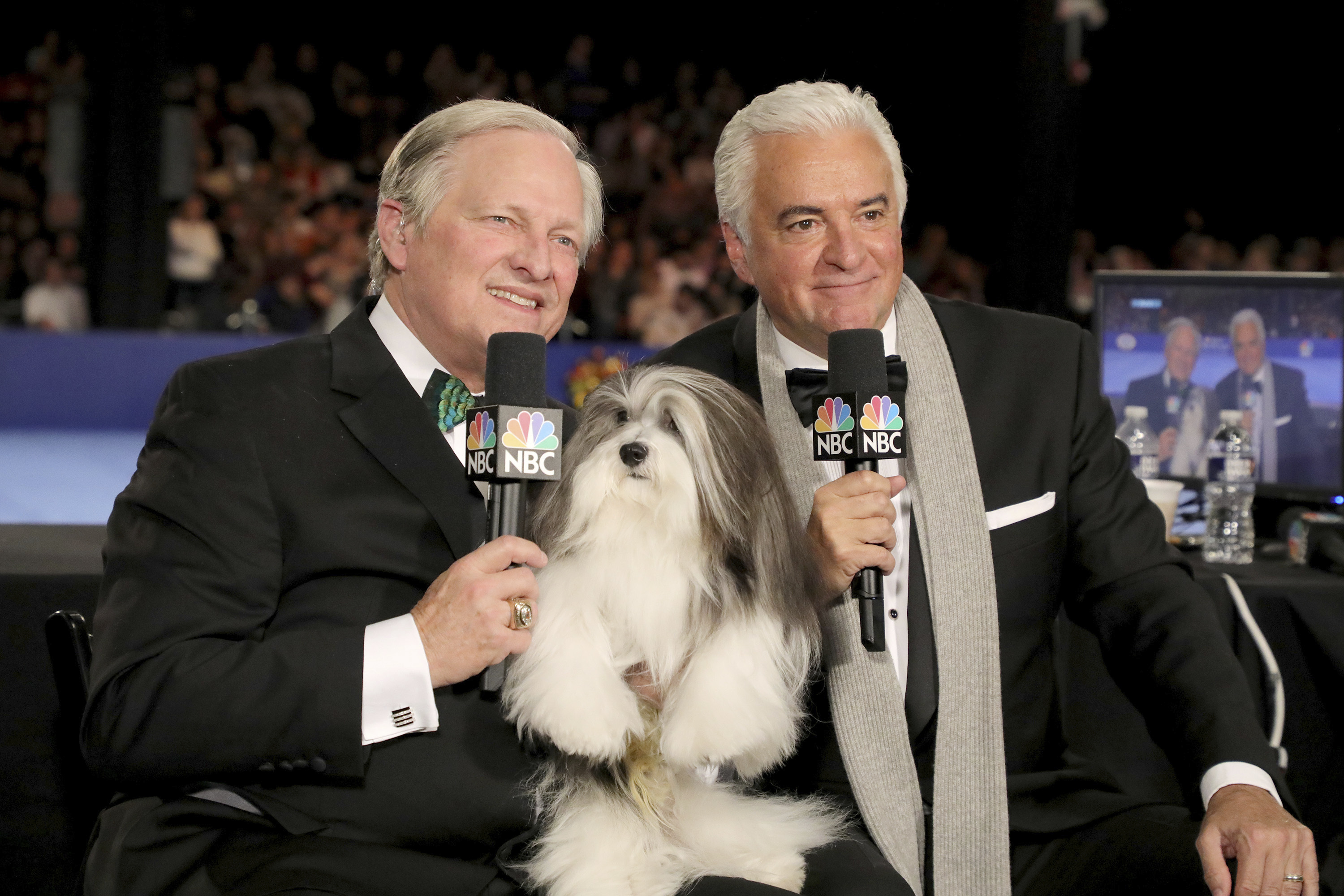 O’Hurley relishes annual Thanksgiving dog show’s popularity