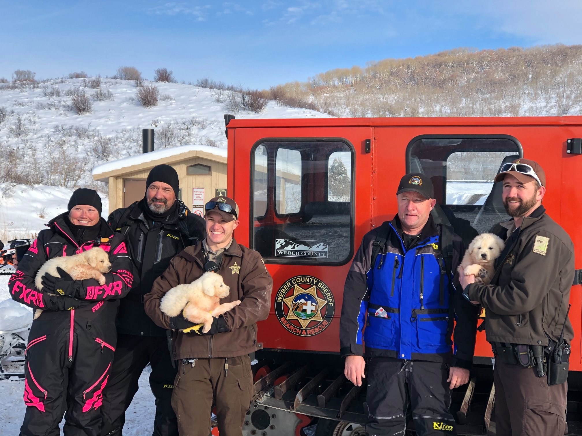 Great Pyrenees puppies rescued near Monte Cristo