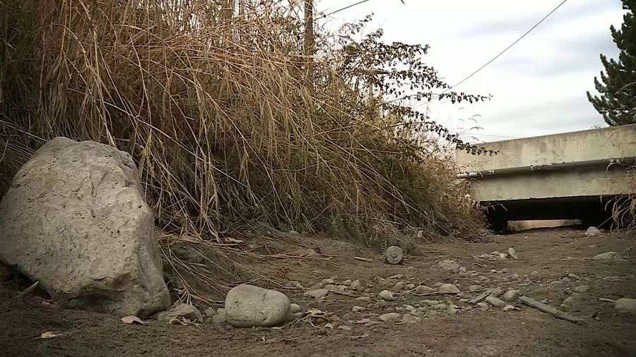 Deserae Turner, right, and her mother, April, plant tulip bulbs at their home in Smithfield, Cache County. “I absolutely love tulips. I think tulips are beautiful,” Deserae said. (Photo: Meghan Thackrey, KSL TV)
