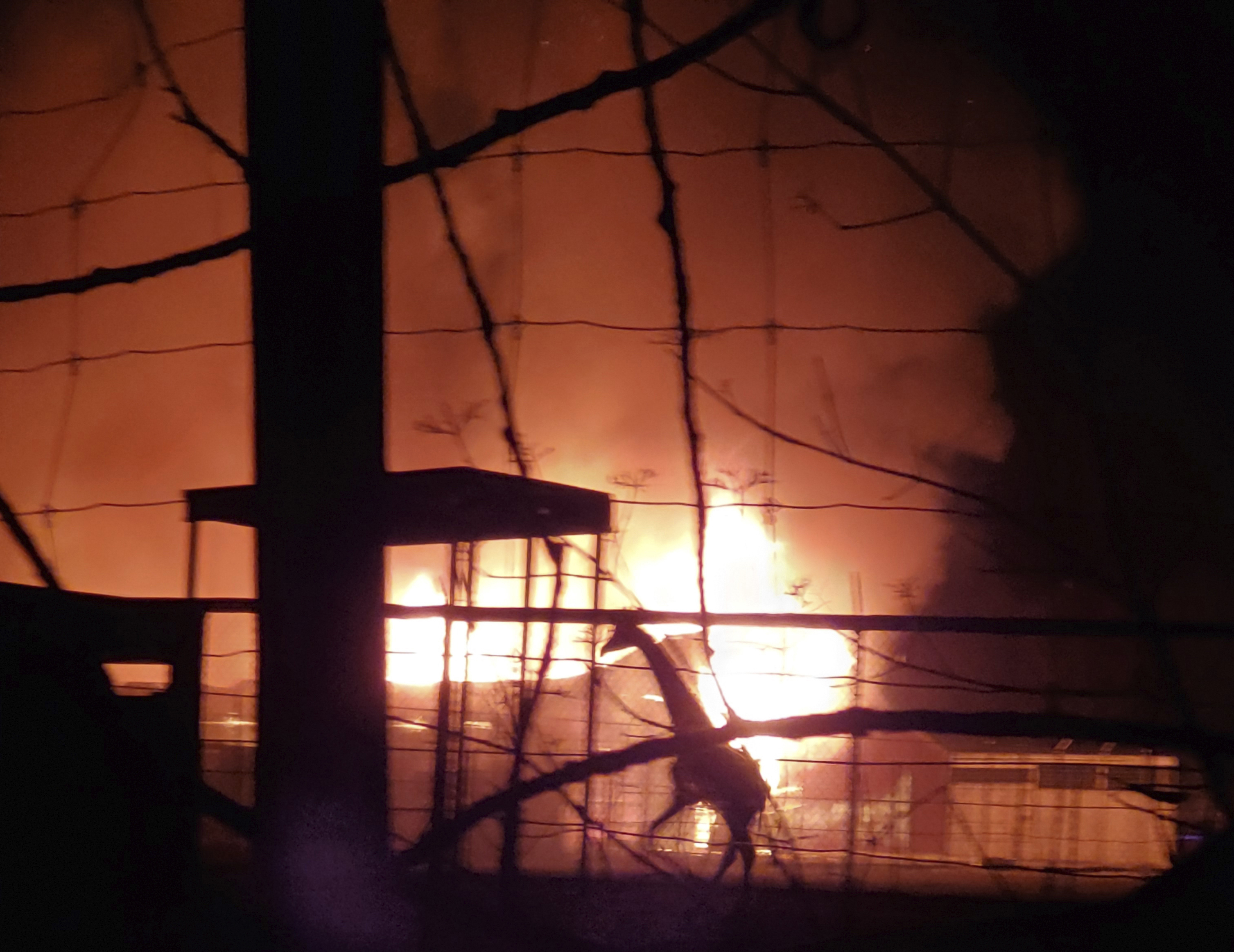 Cause of fire that killed animals at wildlife park unknown