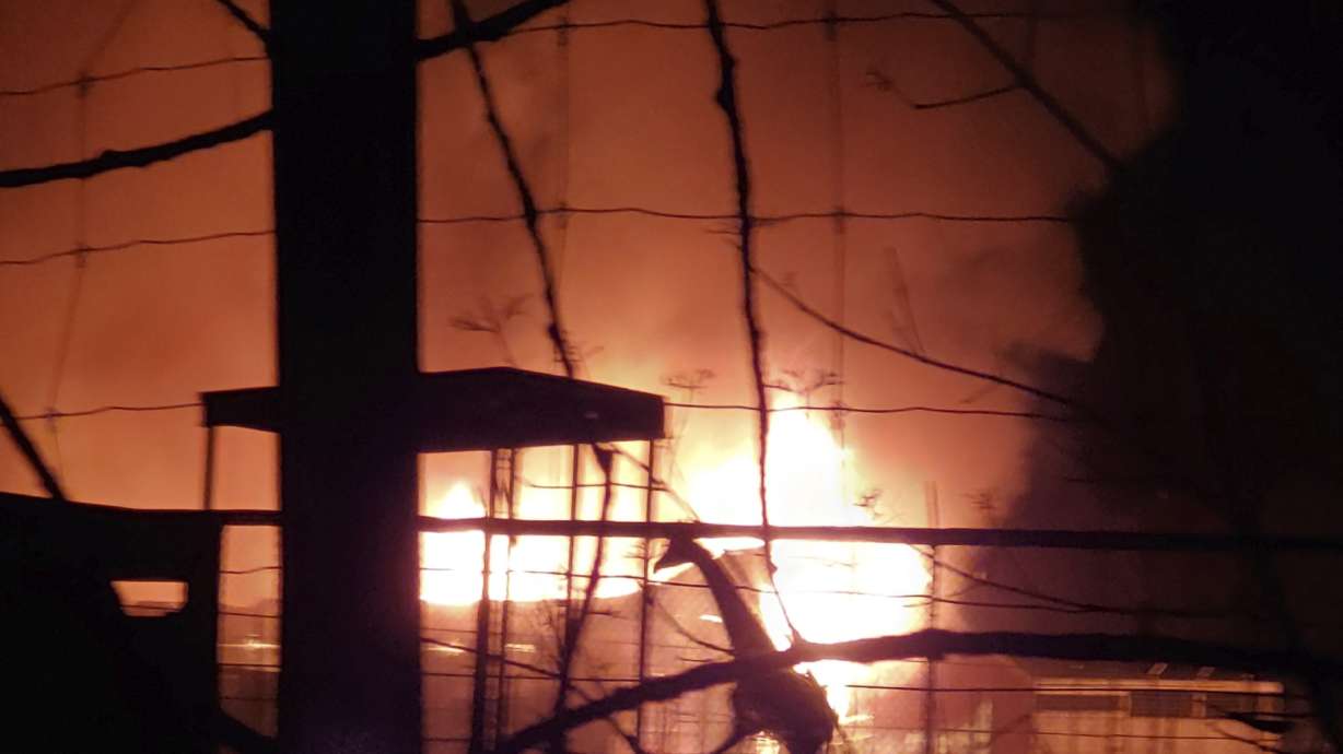 Cause of fire that killed animals at wildlife park unknown