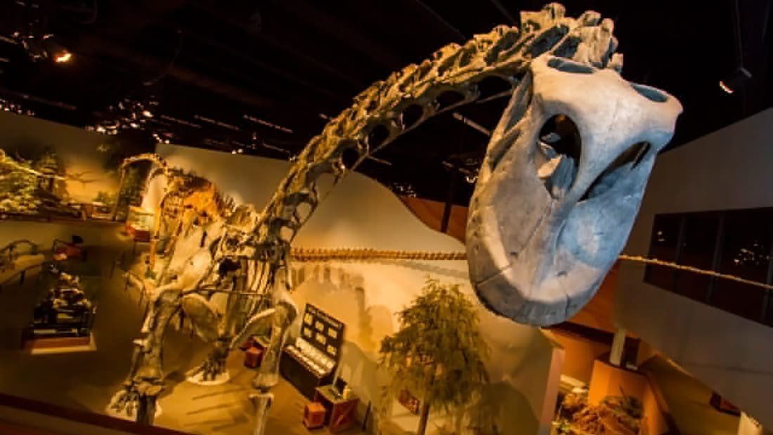 The ultimate dinosaur road trip will take you through Utah, Colorado