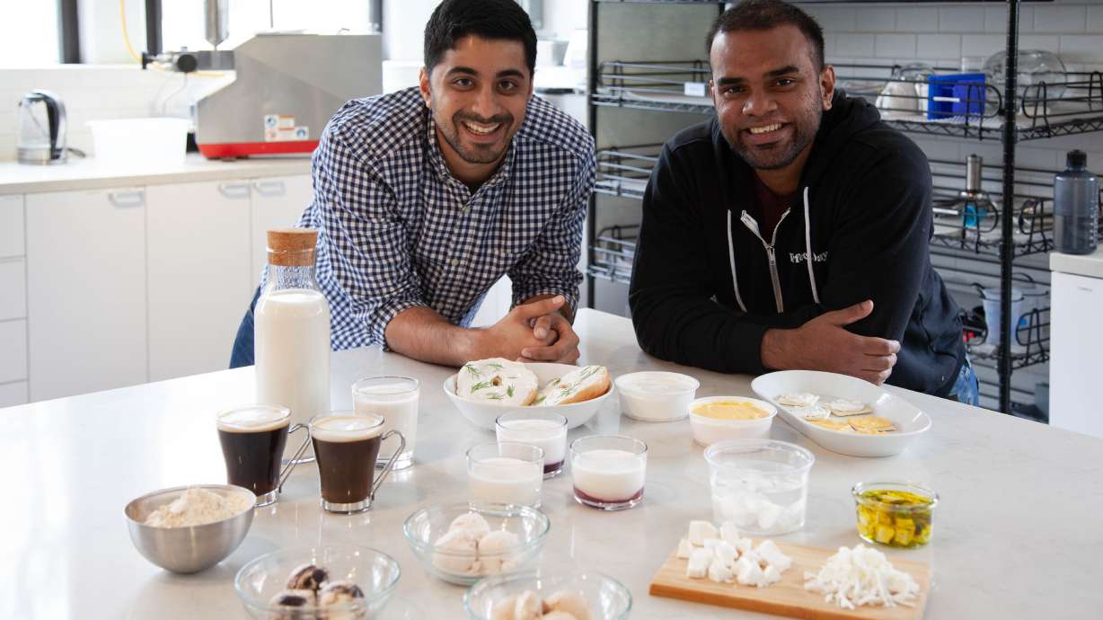 Perfect Day Announces $140 Million Series C Funding Round to Expand Commercial Reach
