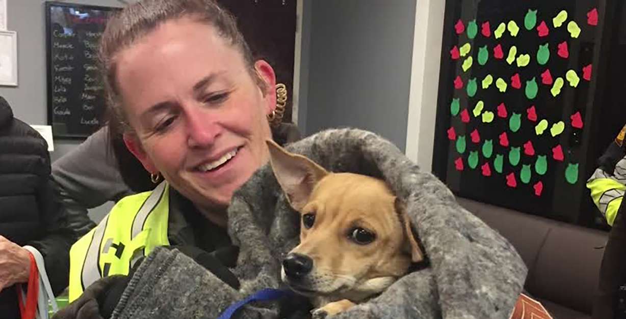Utah Highway Patrol troopers shut down I-215 over the weekend to rescue a dog who ran away from the organization trying to find her a permanent home. Photo: KSL TV