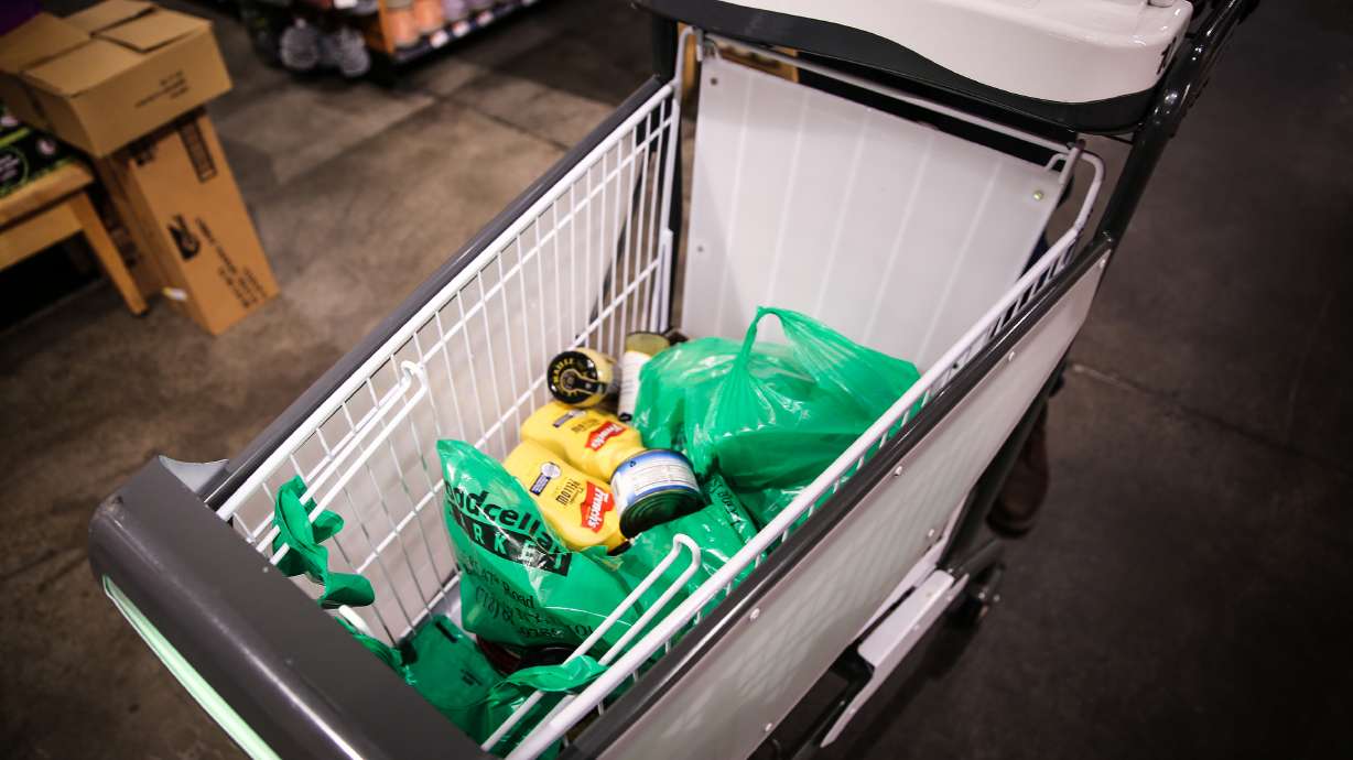 Skip the grocery store line with these smart shopping carts