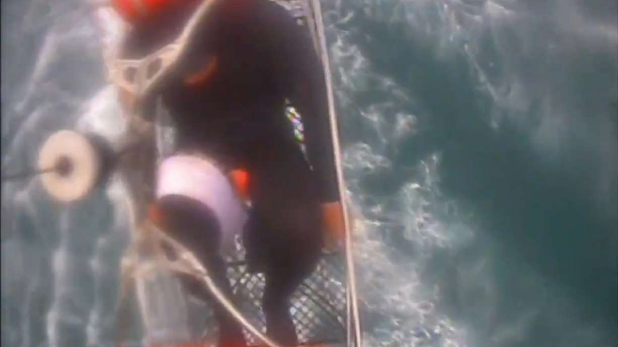 Surfer attacked by shark calls rescue a "Christmas miracle"