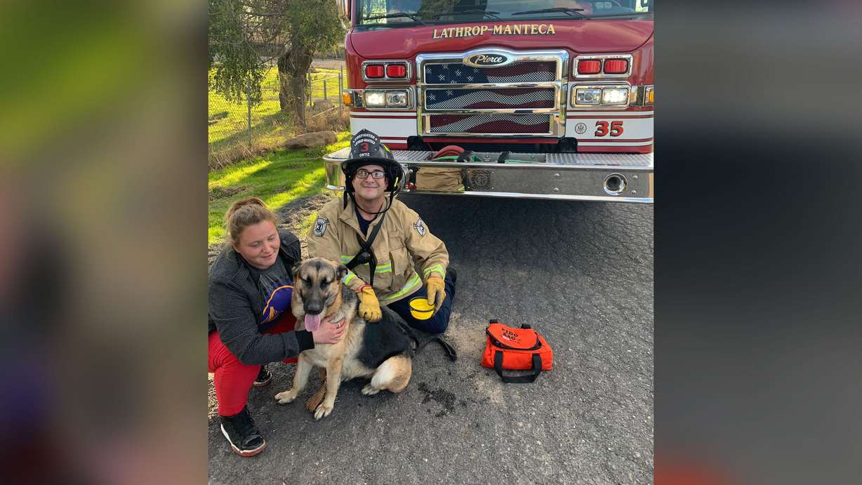 Not a cat in sight? You've got to be kitten me. Photo: Lathrop Manteca Fire District/Facebook