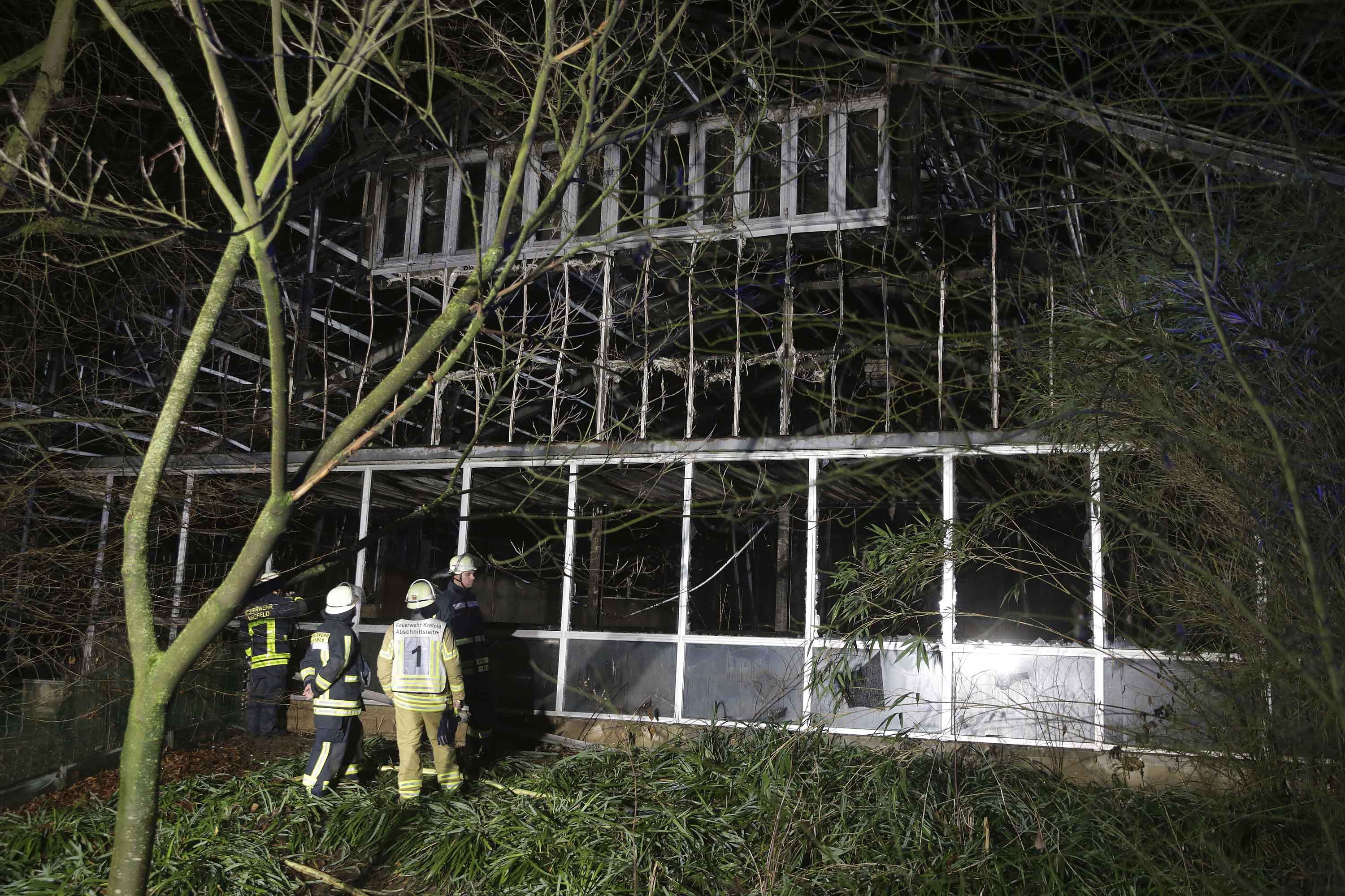 Firefighters outside the enclosure at Krefeld Zoo, following a blaze that left scores of animals dead. (Photo: David Young, dpa via AP)