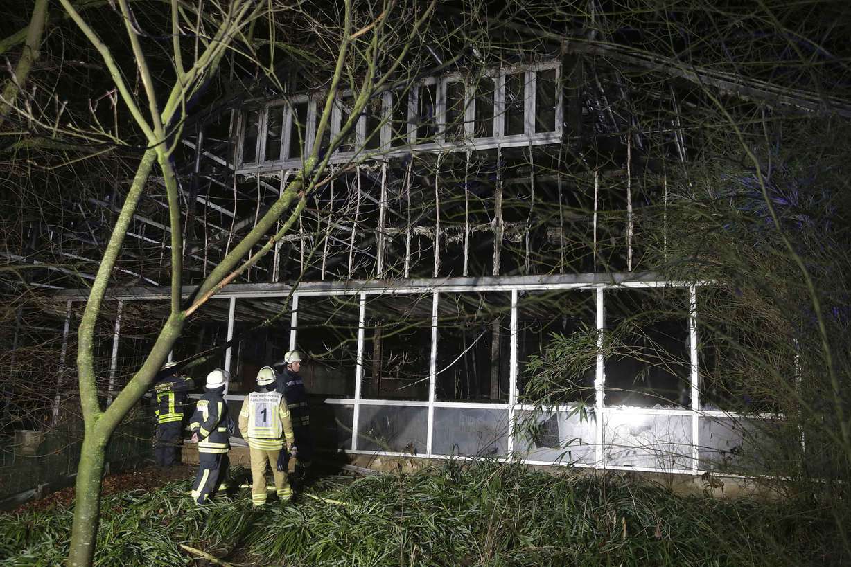 Firefighters outside the enclosure at Krefeld Zoo, following a blaze that left scores of animals dead. (Photo: David Young, dpa via AP)
