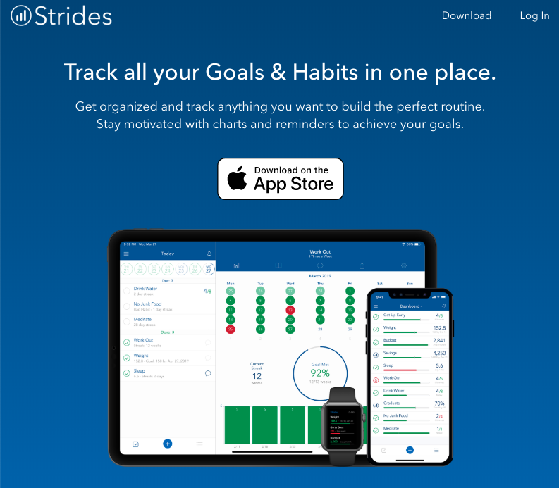 Photo: Screenshot of Strides website