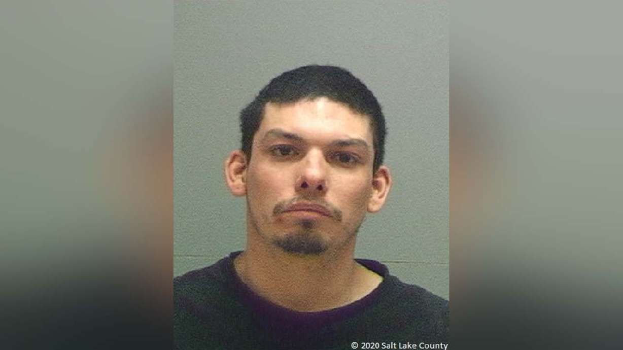 West Valley man attacked mother, killed her dog, police say