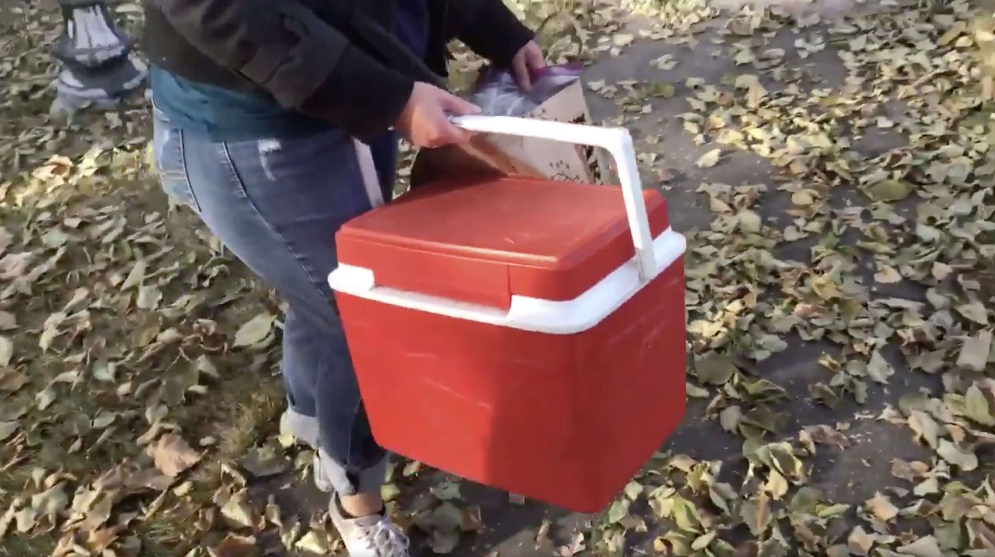 Utah diabetics band together to share supplies in underground network