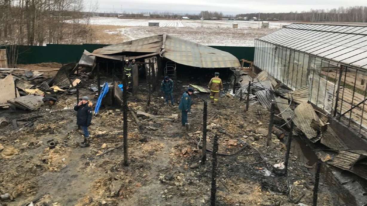 Fire at Russia greenhouse farm kills 8 people; 1 injured